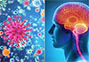 Guidelines issued to prevent spread of meningitis