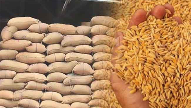 Cabinet approves sale of 115,000 MT paddy stocks held by Paddy Marketing Board