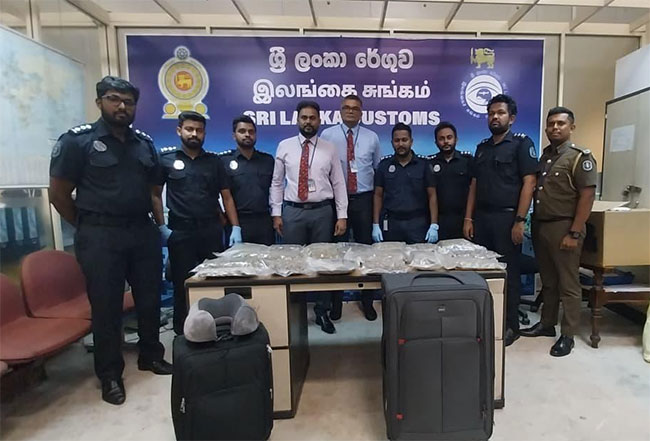 Passenger arrested at BIA with over 8kg �Kush� cannabis 