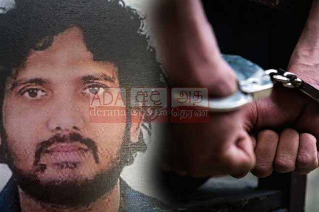 Notorious drug trafficker Shiran Basik arrested in Dubai: Sources