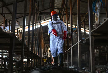 Uganda orders �immediate� closure of border with Congo as rare Ebola cases surge