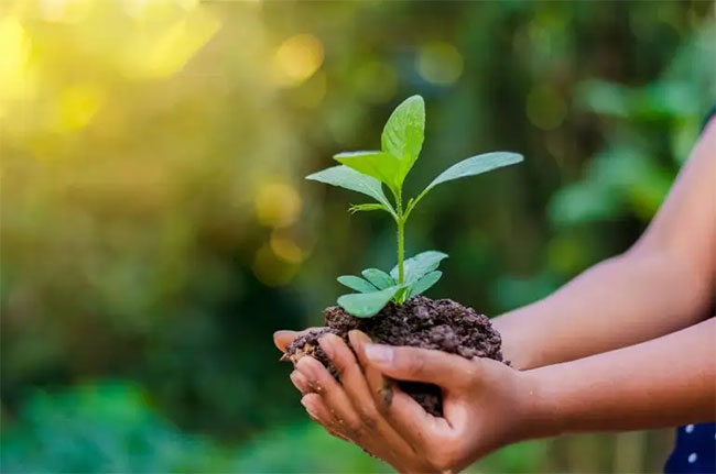 National Environment Week to commence tomorrow ahead of World Environment Day 