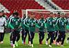 World Cup-bound South Africa grounded over visa delay