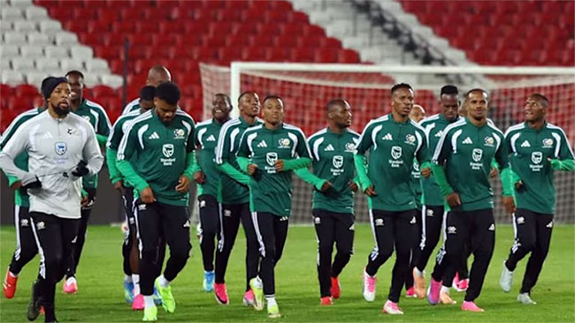 World Cup-bound South Africa grounded over visa delay