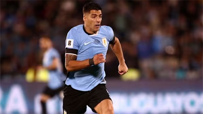 Suarez, Nandez miss out as Bielsa names Uruguay�s World Cup squad