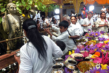 Devotees offer prayers on Vesak�