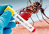 Over 33,000 dengue cases and 19 deaths reported so far in 2026