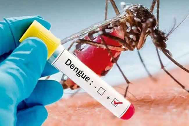 Over 33,000 dengue cases and 19 deaths reported so far in 2026