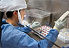 Three Ebola vaccines in development amid growing outbreak fears Three Ebola vaccines in development amid growing outbreak fears