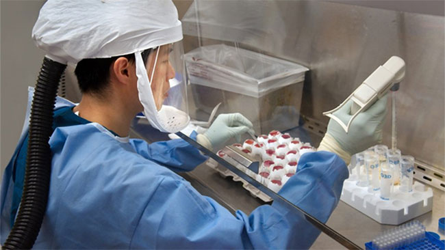 Three Ebola vaccines in development amid growing outbreak fears