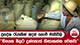 ප්‍රදේශ රැසකින් අදත් ගොවි මැසිවිලි - 'තියෙන මිලට දුන්නොත් හිඟාකන්න වෙනවා' | Ada Derana