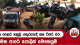 එක පෙළට හසුවූ යතුරුපැදි සහ ටිපර් රථ.. | Ada Derana