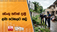 ඩෙංගු තවාන් දැමූ ළමා රෝහලට නඩු