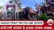 අතුපන්දලම චාරිත්‍රයට එක්වූ වාසනා ප්‍රමුඛ ඇත්පන්තිය කැමරාවේ සටහන් වූ දුර්ලභ දර්ශන පෙළක්...