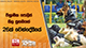 විශ්‍රාමික පොලිස් නිල සුනඛයන් 26ක් වෙන්දේසියේ 